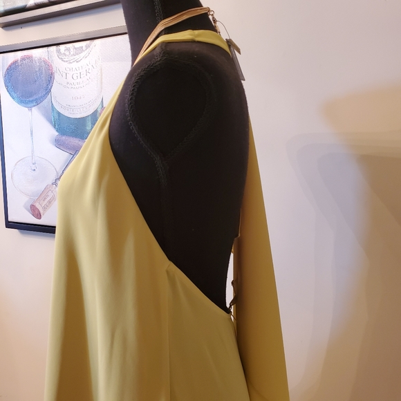 🔥BCBGMAXAZARIA Draped Back Halter Top - Picture 7 of 15